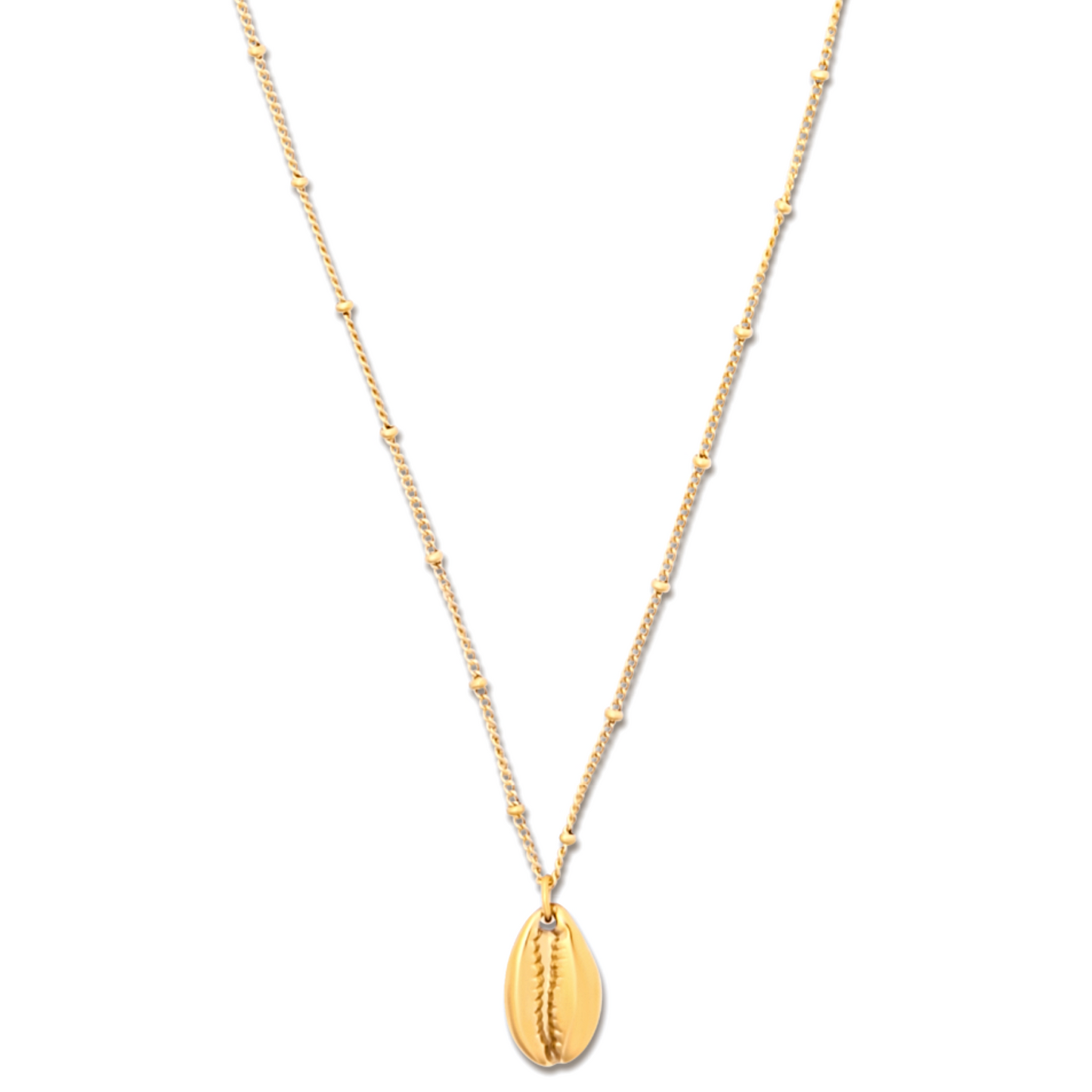 Jaide Shell Pendant Necklace