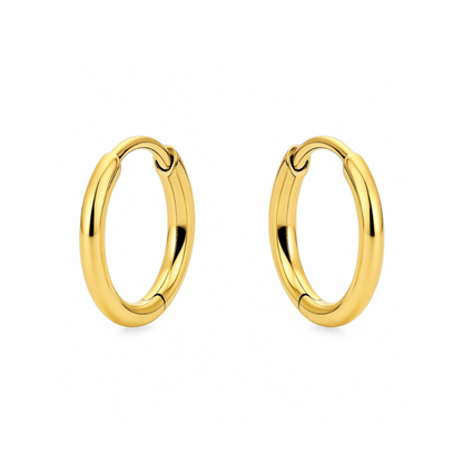 Erin Mini Hoop Earring