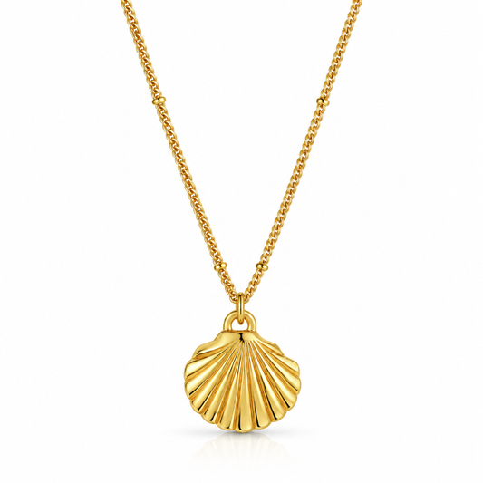 Georgina Shell Pendant Necklace
