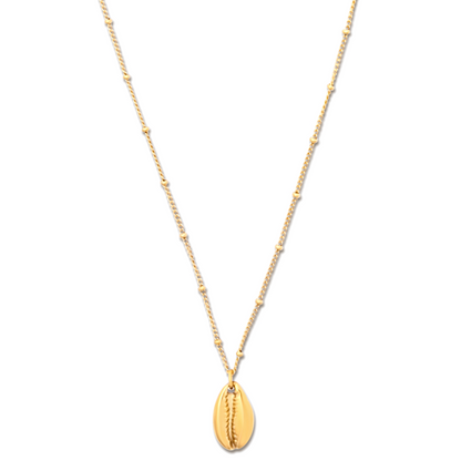 Jaide Shell Pendant Necklace